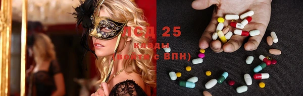 ГАЛЛЮЦИНОГЕННЫЕ ГРИБЫ Верея