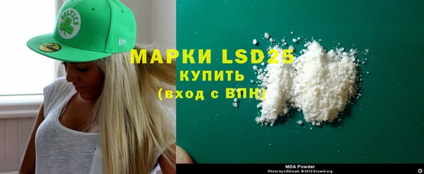 ГАЛЛЮЦИНОГЕННЫЕ ГРИБЫ Верея