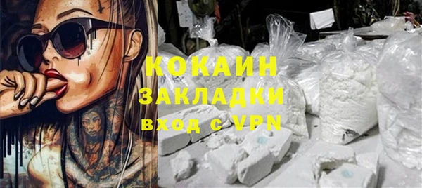 ГАЛЛЮЦИНОГЕННЫЕ ГРИБЫ Верея