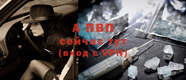 ГАЛЛЮЦИНОГЕННЫЕ ГРИБЫ Верея