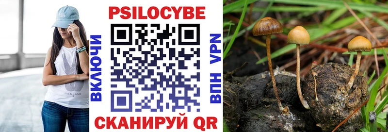 Псилоцибиновые грибы MAGIC MUSHROOMS  Электроугли 